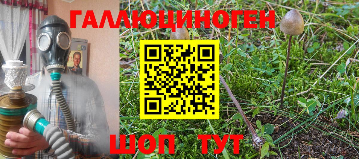 Псилоцибиновые грибы прущие грибы  наркота  Менделеевск  Вход с VPN 